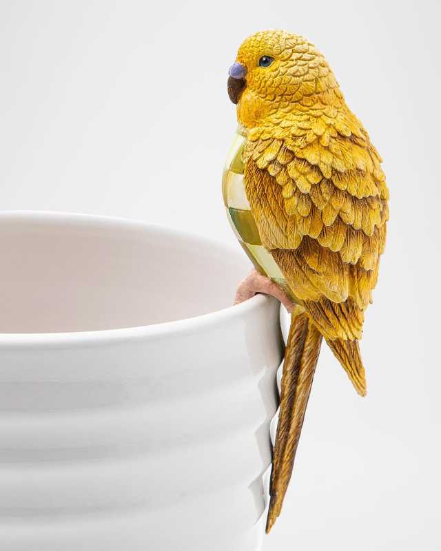 Parakeet Pot Climber